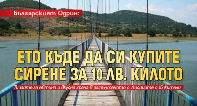 Българският Одрин: Ето къде да си купите сирене за 10 лв. килото