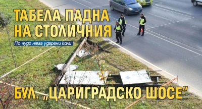 Табела падна на столичния булевард Цариградско шосе в обедните часове