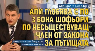 Скандал в Lupa.bg: АПИ глобява с по 3 бона шофьори по несъществуващ член от Закона за пътищата