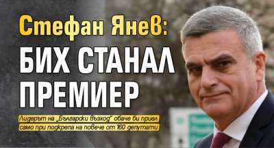 Стефан Янев: Бих станал премиер