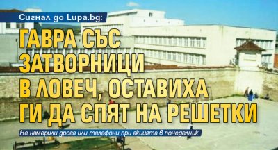 Сигнал до Lupa.bg: Гавра със затворници в Ловеч, оставиха ги да спят на решетки
