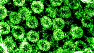 Коронавирусът може да оцелява с дни върху готови за консумация храни