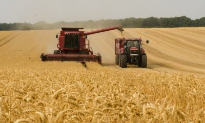 Русия е ожънала пшеница за 1 милиард долара в Украйна тази година