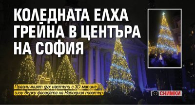 Коледната елха грейна в центъра на София (СНИМКИ)