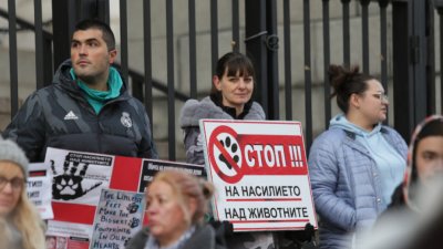 Протестираха срещу насилието над животни