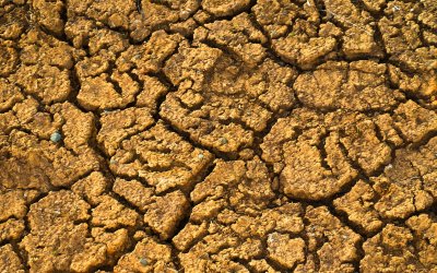 Климатолог: Ще има по-дълги и осезаеми засушавания
