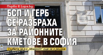 Първо в Lupa.bg: БСП и ГЕРБ се разбраха за районните кметове в София