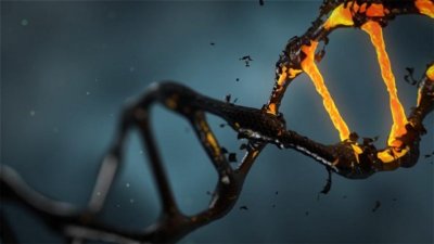 Учени са идентифицирали ДНК от животни, растения и микроби, датираща
