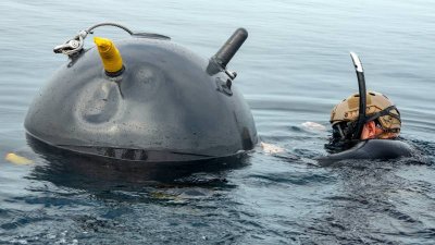 Военноморските сили на Румъния обезвредиха морска мина която се носела