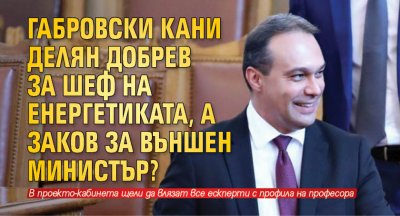 Габровски кани Делян Добрев за шеф на енергетиката, а Заков за външен министър?