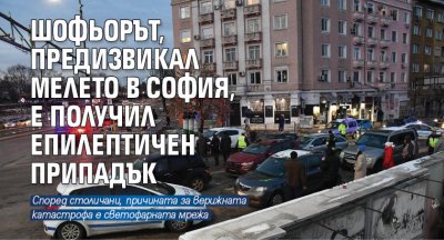 Шофьорът, предизвикал мелето в София, е получил епилептичен припадък