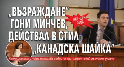 Пак черна овца: "Възраждане" гони Минчев, действал в стил "канадска шайка"