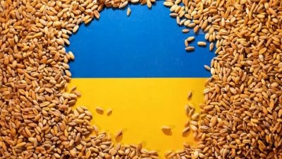 Количествата селскостопанска продукция изнесена от пристанищата на Украйна в рамките