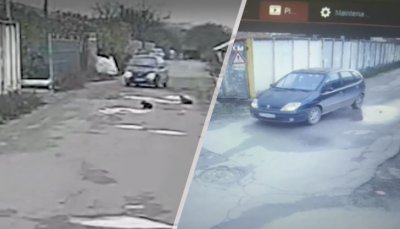 Изрод опита да прегази две кучета в Русе