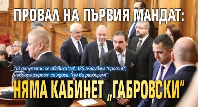 ПРОВАЛ НА ПЪРВИЯ МАНДАТ: Няма кабинет "Габровски"