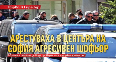 Първо в Lupa.bg: Арестуваха в центъра на София агресивен шофьор 