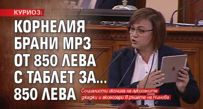 Шефката на БСП Корнелия Нинова предизвика присмех у депутати и