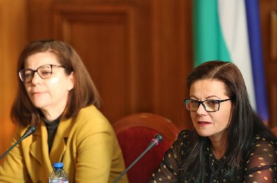 Министерството на отбраната ще предложи България да предостави генератори на
