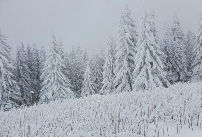 Едва след 12 13 и януари се очаква зимата наистина да настъпи