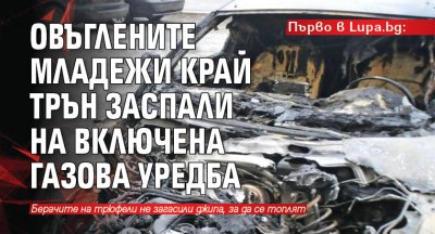 Първо в Lupa.bg: Овъглените младежи край Трън заспали на включена газова уредба