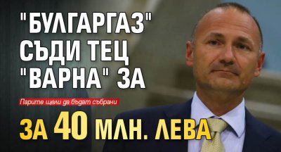 "Булгаргаз" съди ТЕЦ "Варна" за 40 млн. лева