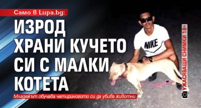 Само в Lupa.bg: Изрод храни кучето си с малки котета (Ужасяващи снимки 18+)