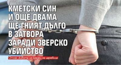 Кметски син и още двама ще гният дълго в затвора заради зверско убийство