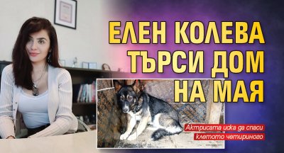 Елен Колева търси дом на Мая