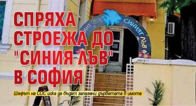 СОС спря строежа до ресторант Синия лъв в София Проектът
