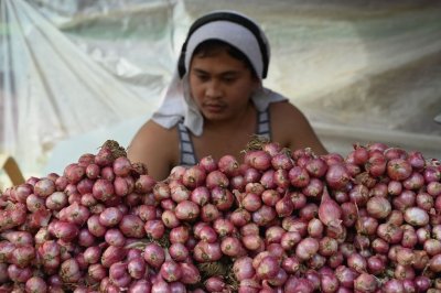 Филипините са изправени пред недостиг на лук и това е