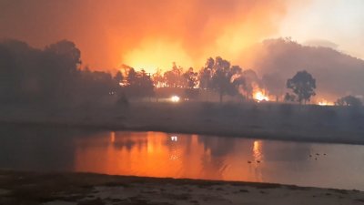 Хиляди декари гора пламнаха в Австралия (ВИДЕО)