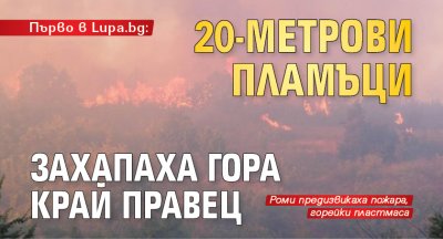 Първо в Lupa.bg: 20-метрови пламъци захапаха гора край Правец