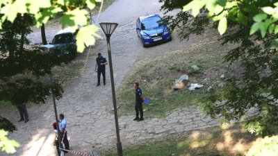 Арест заради убийството в Бояна