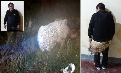 Mъж се опита да избяга от затвор, облечен като овца