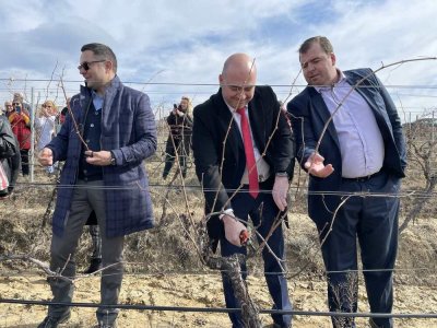 Винопроизводството стана част от нематериално културно наследство на България
