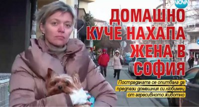 Домашно куче нахапа жена в София