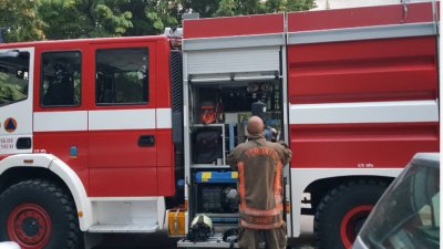 Овладян е пожарът над село Елешница община Разлог който  възникна
