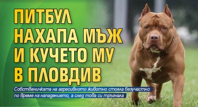Питбул нахапа мъж и кучето му в Пловдив Двамата са