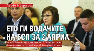 Първо в Lupa.bg: Ето ги водачите на БСП за 2 април
