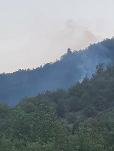 Потушени са пожарите в Югозападна България съобщиха от Югозападното държавно