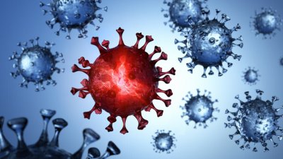 60 нови случая на коронавирус са били регистрирани през последното