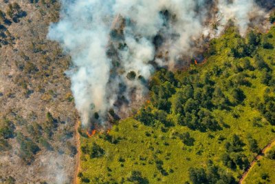 Огромни горски пожари обхванаха Куба  Огънят се насочва към провинция Сантяго