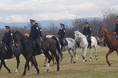 С традиционни демонстрации и състезания конната полиция към Столичната дирекция