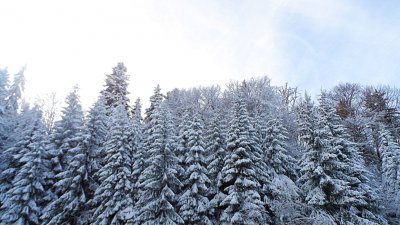 40-50 см сняг на Витоша, 140 см в Стара планина