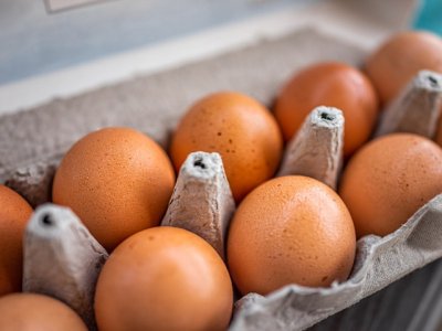 Няма да има промяна в цената на яйцата преди Великден