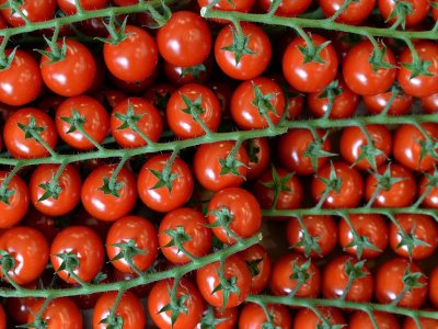 Турция отменя забраната за износ на домати