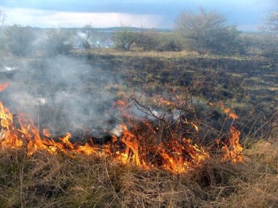 Девет пожара в сухи треви храсти и отпадъци са гасени