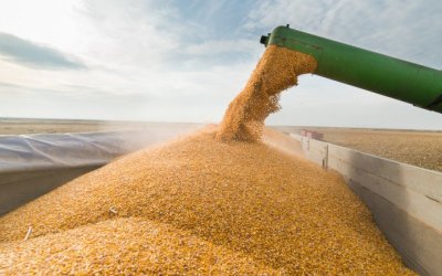 Русия се съгласи да поднови сделката за износ на зърно
