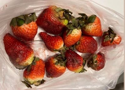 Столичанка си купи ягоди от пазара в Люлин и се