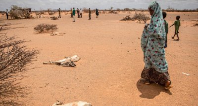 Сушата убила 43 000 души в Сомалия миналата година
